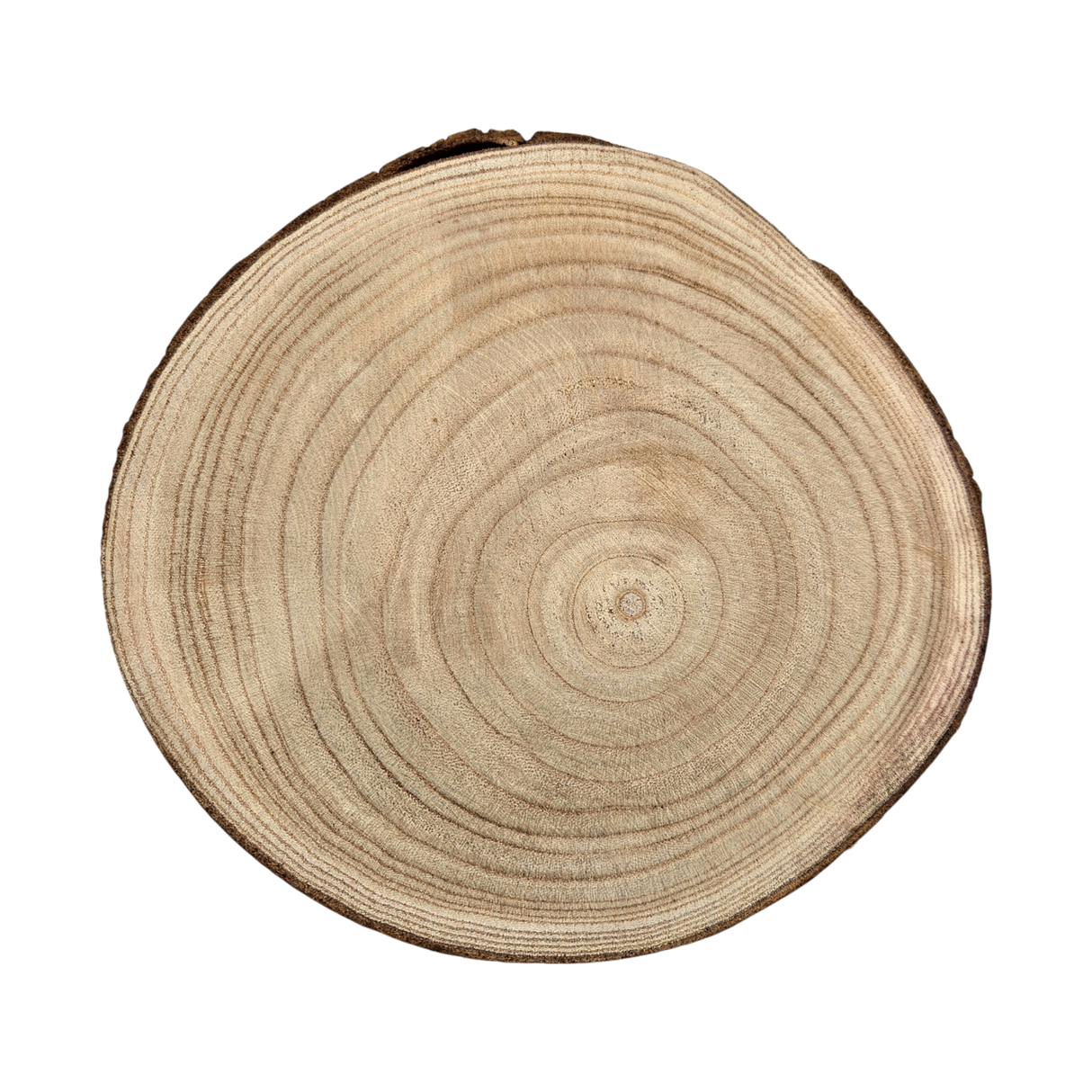 Baumscheibe rund Dekoscheibe Basteln Dekoteller auf Füßen Holzscheibe mit Rinde 17-22 cm