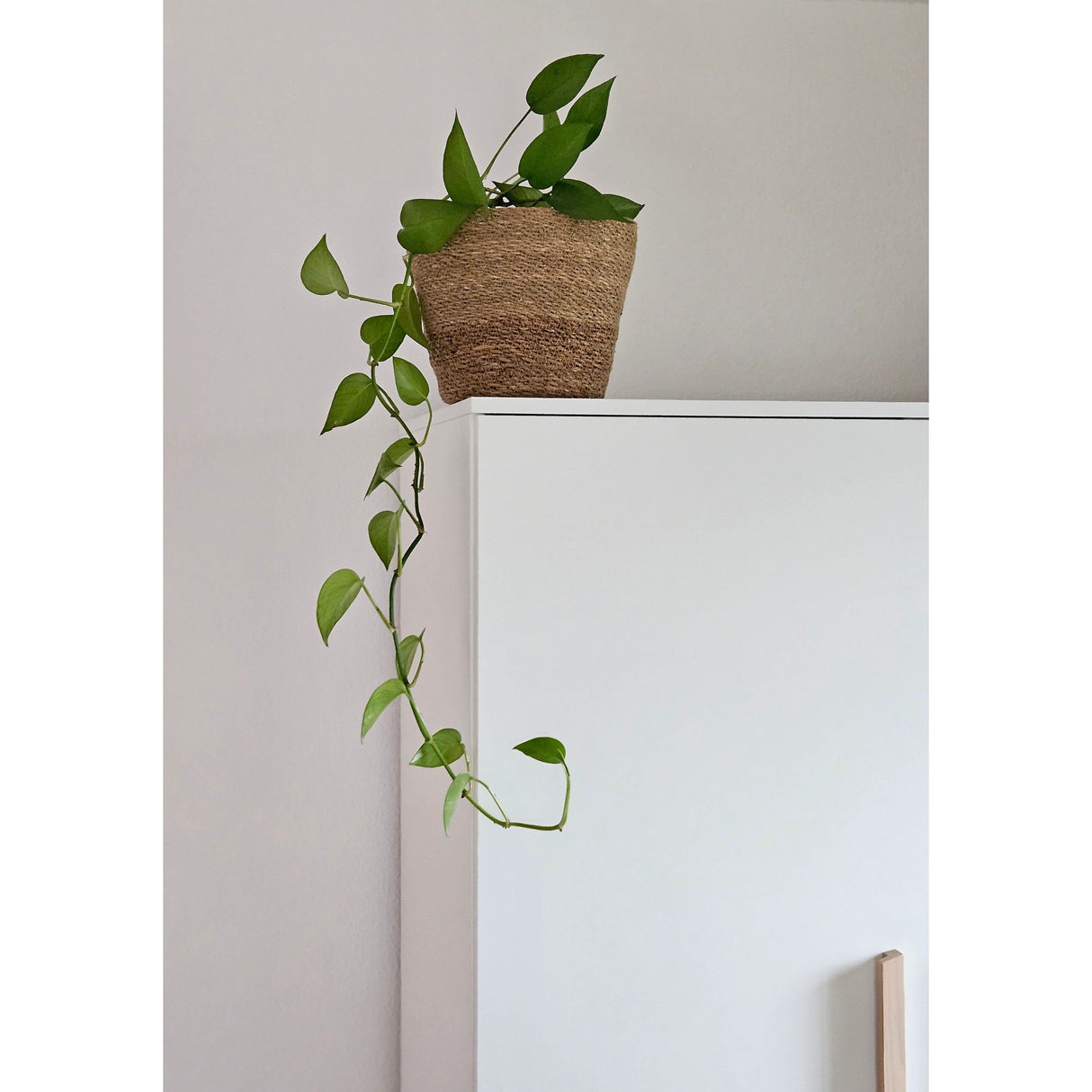 Blumentopf Pflanztopf Pflanzkorb Korb Übertopf Seegras braun rund Mittel Ø 23 cm