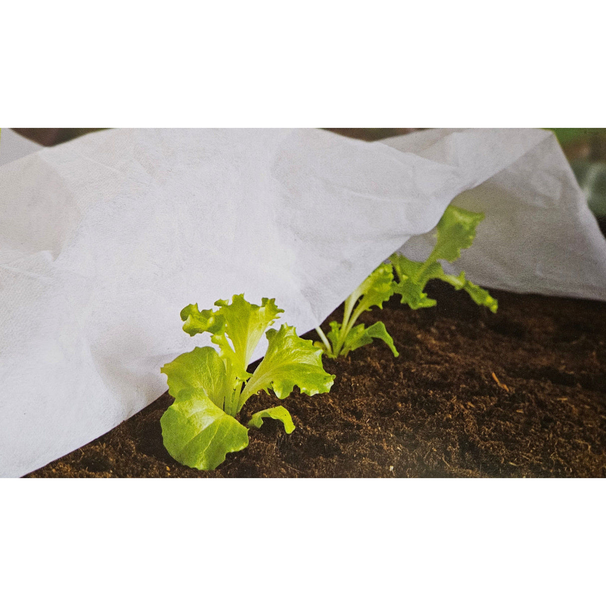 Pflanzenabdeckung Frostschutzvlies Winterschutz Pflanzenschutz weiß Kälteschutz