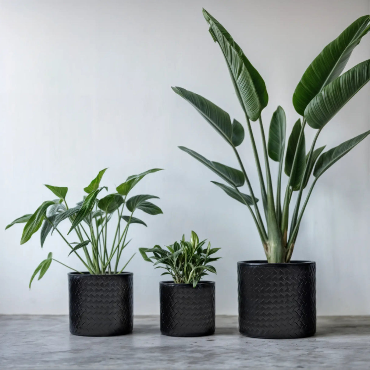 Blumentopf Übertopf Pflanzenkübel Topf Kübel 3er Set schwarz rund Metall Matt - Blumentopfset