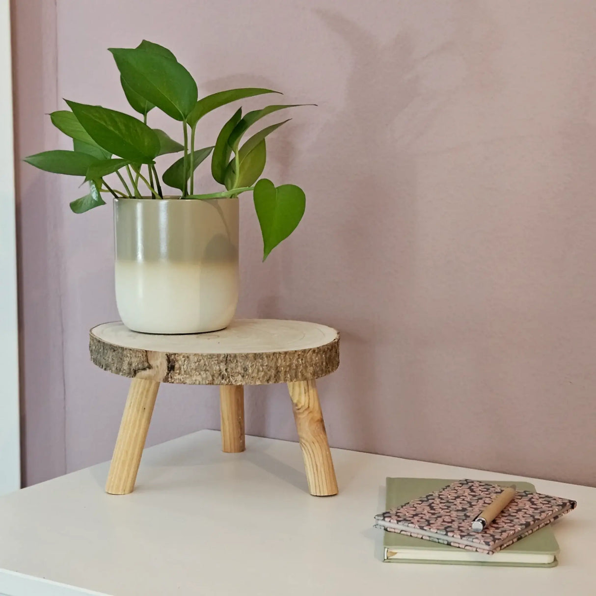 Pflanztopf Übertopf Blumentopf 3er Set Metalltopf creme beige rund Pflanzenübertopf - Übertopf