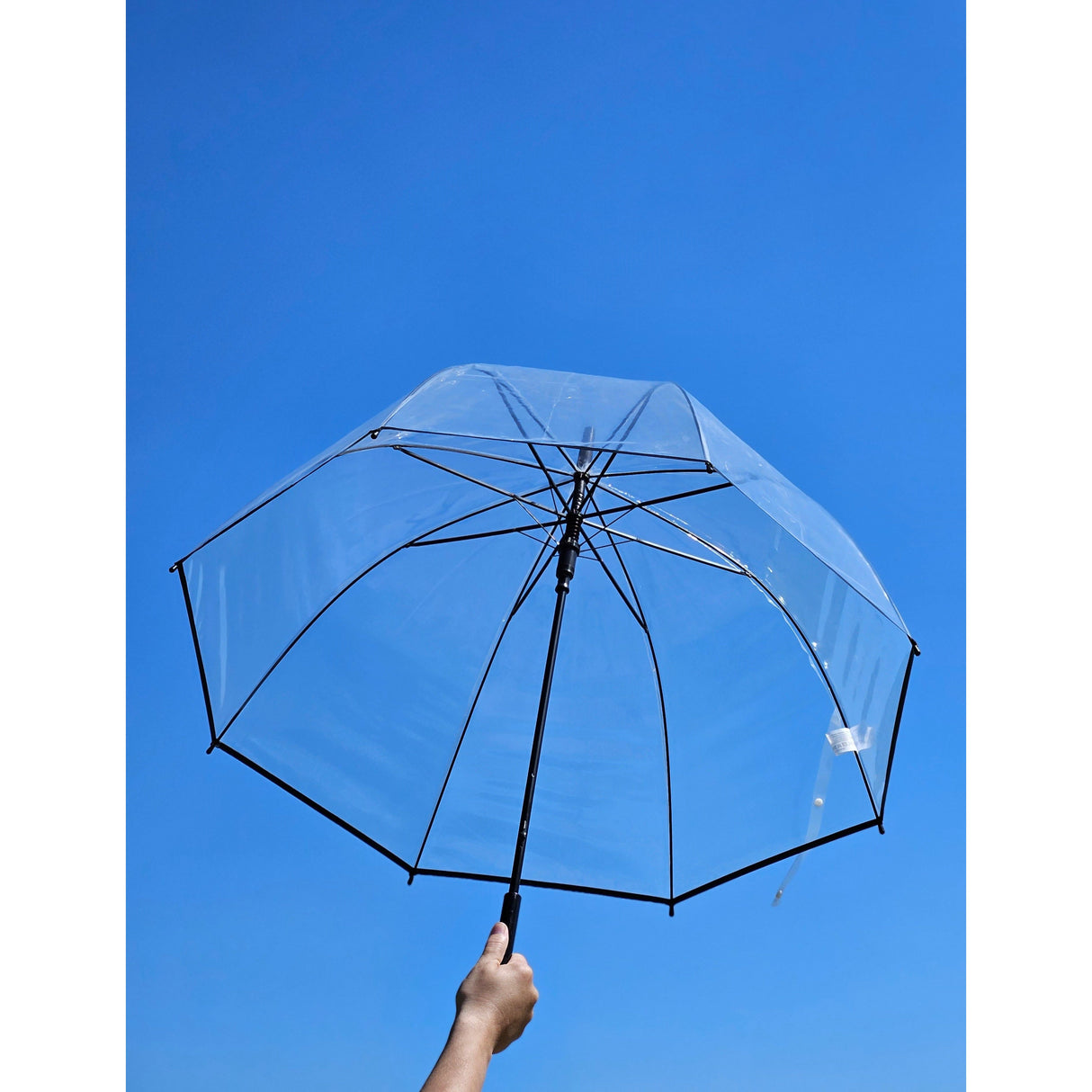 Regenschirm Glockenschirm Schirm Regen Glockenform rund klar transparent Ø 85 cm