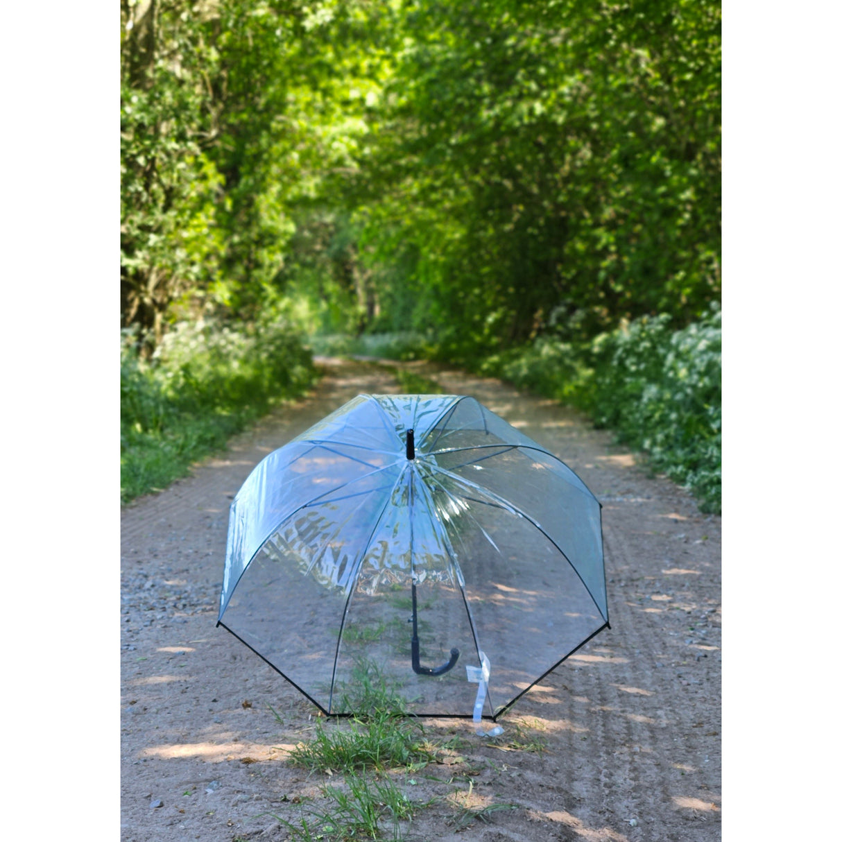 Regenschirm Glockenschirm Schirm Regen Glockenform rund klar transparent Ø 85 cm