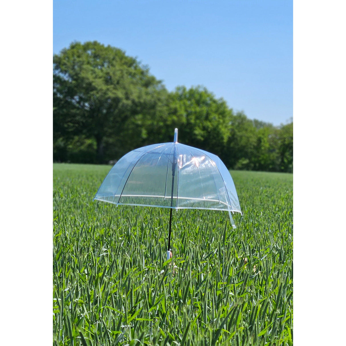 Regenschirm Glockenschirm Schirm Regen Glockenform rund klar transparent Ø 85 cm