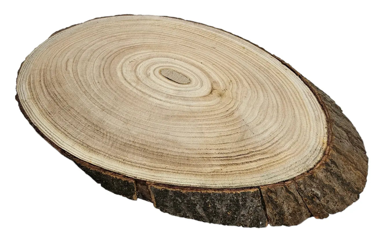 Baumscheibe Brett oval Holz Holzbrett Dekobrett Tablett Holzscheibe Ø 20 - 23 cm