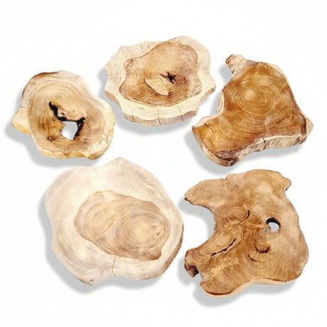 Baumscheibe Teak Scheibe Holzscheibe Untersetzer Holz Massiv 16-20 cm Rustikal Tablett - Baumscheibe