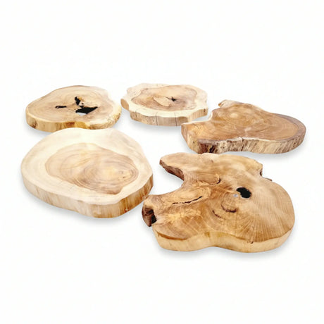 Baumscheibe Teak Scheibe Holzscheibe Untersetzer Holz Massiv 16-20 cm Rustikal Tablett - Baumscheibe
