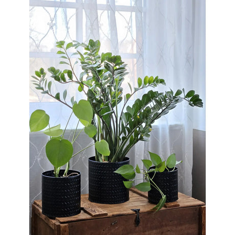 Blumentopf Übertopf Pflanzenkübel Topf Kübel 3er Set schwarz rund Metall Matt - Blumentopfset