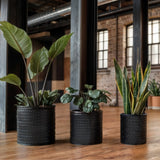 Blumentopf Übertopf Pflanzenkübel Topf Kübel 3er Set schwarz rund Metall Matt - Blumentopfset