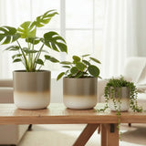 Pflanztopf Übertopf Blumentopf 3er Set Metalltopf creme beige rund Pflanzenübertopf - Übertopf