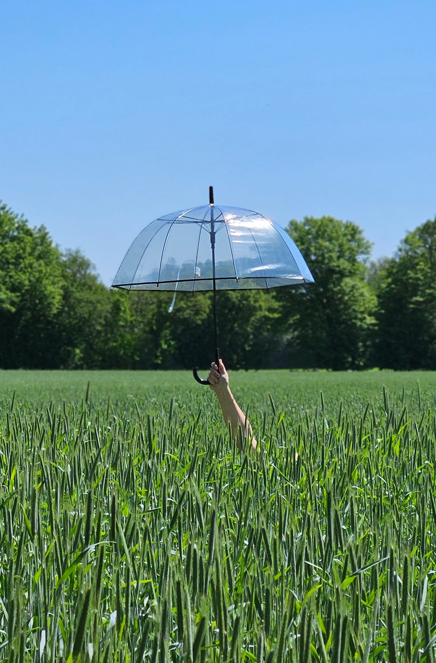 Regenschirm Glockenschirm Schirm Regen Glockenform rund klar transparent Ø 85 cm