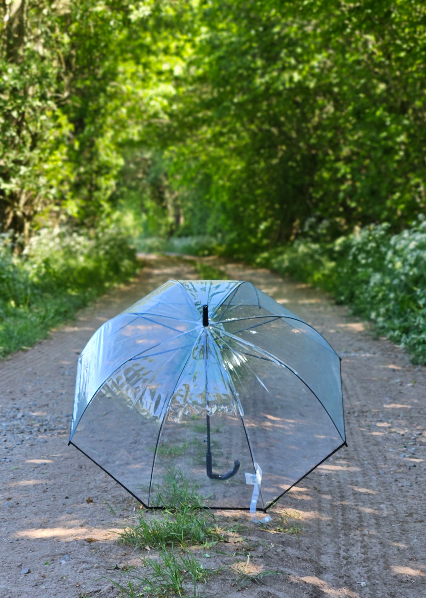 Regenschirm Glockenschirm Schirm Regen Glockenform rund klar transparent Ø 85 cm