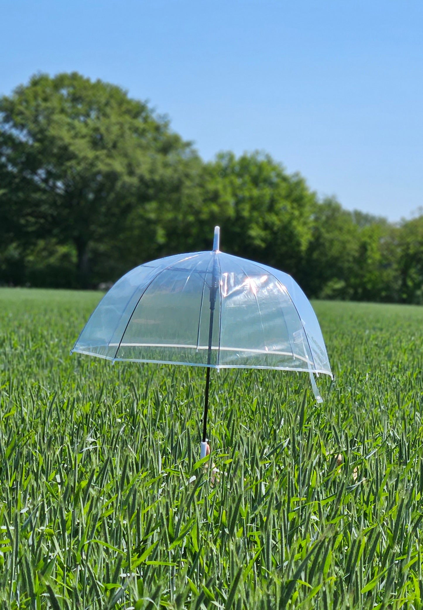 Regenschirm Glockenschirm Schirm Regen Glockenform rund klar transparent Ø 85 cm