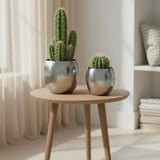 Übertopf Blumentopfe Silber Pflanztopf Deko 2er Set glänzend rund