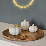 Teller Holzteller Mango Dekoteller Tischdeko Mangoholz Deko Schale Holz Ø 38 cm