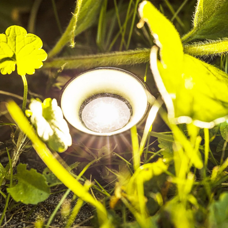Solarlampen Solarleuchten Gartenbeleuchtung Pflanzenstrahler Balkon Kübel Garten 10x LED - Pflanzenstrahler
